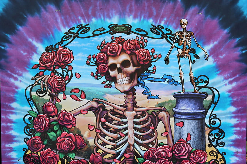 Latest of , Music, Grateful Dead, king of the dead HD wallpaper