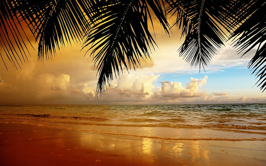 Naturaleza paisaje cielo nubes puesta de sol arena playa reflejo océano, playa estética fondo de pantalla