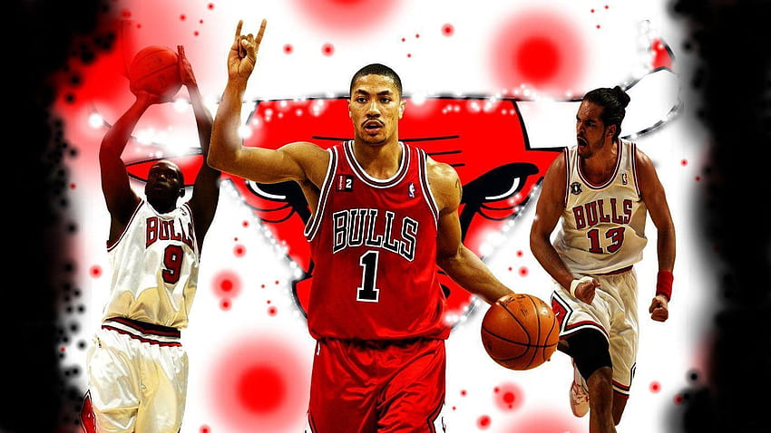 Chicago Bulls Beautiful Latest 2012, nba players HD wallpaper