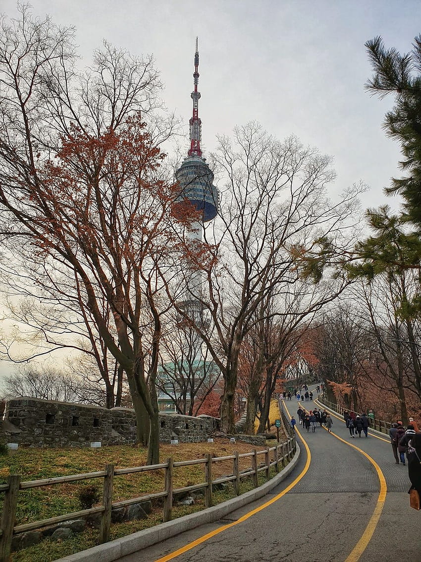 Torre di Namsan Seoul, torre di Namsan Sfondo del telefono HD