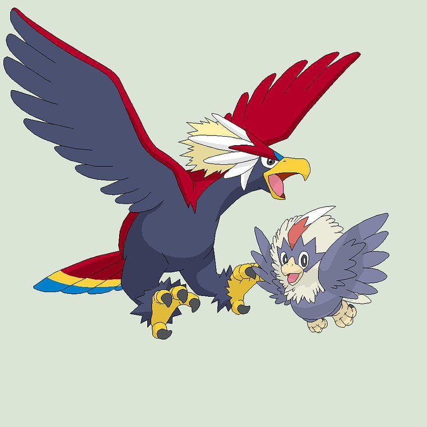 Rufflet By Xous54 Hd Wallpaper Pxfuel 