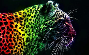 Print rainbow leopard HD wallpapers