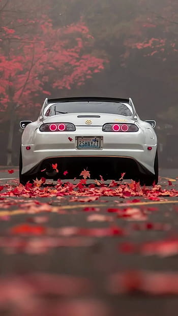 Page 10, supra HD wallpapers