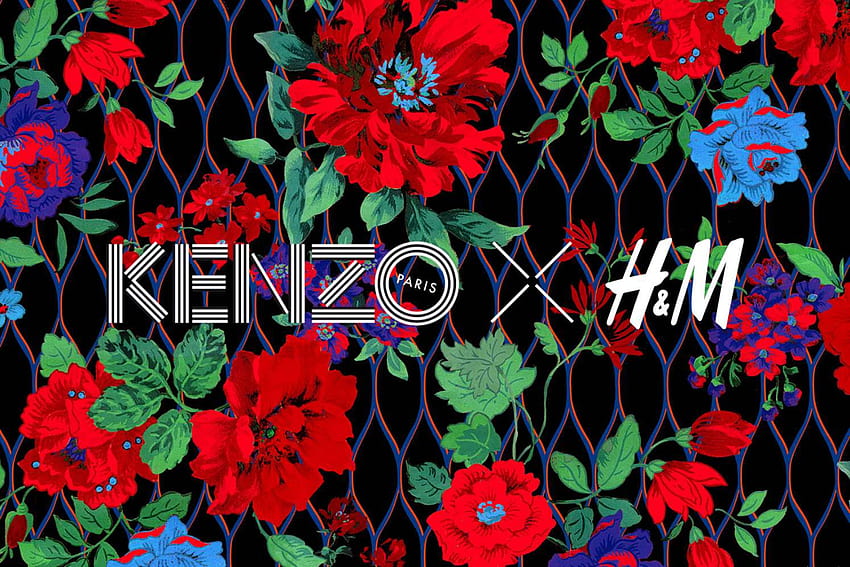 Kenzo H&m, kenzo paris HD wallpaper | Pxfuel