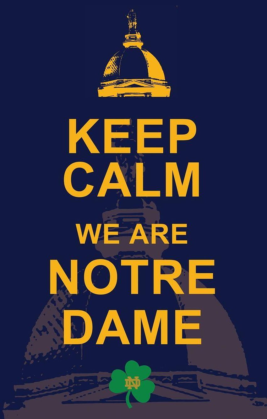 32 best Notre Dame Quotes, Signs, Flags and more. on, notre dame fighting irish football HD phone wallpaper