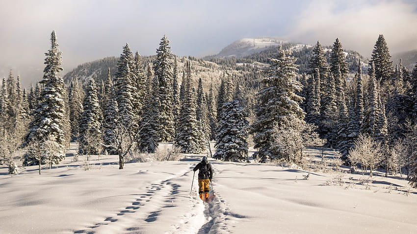 2560x1440 pemain ski, pegunungan, salju, musim dingin layar lebar latar belakang 16:9, nordic musim dingin Wallpaper HD