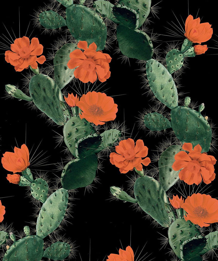 Cactus seducente • Design audace e luminoso del cactus • Milton & King, fiore di cactus rosso Sfondo del telefono HD
