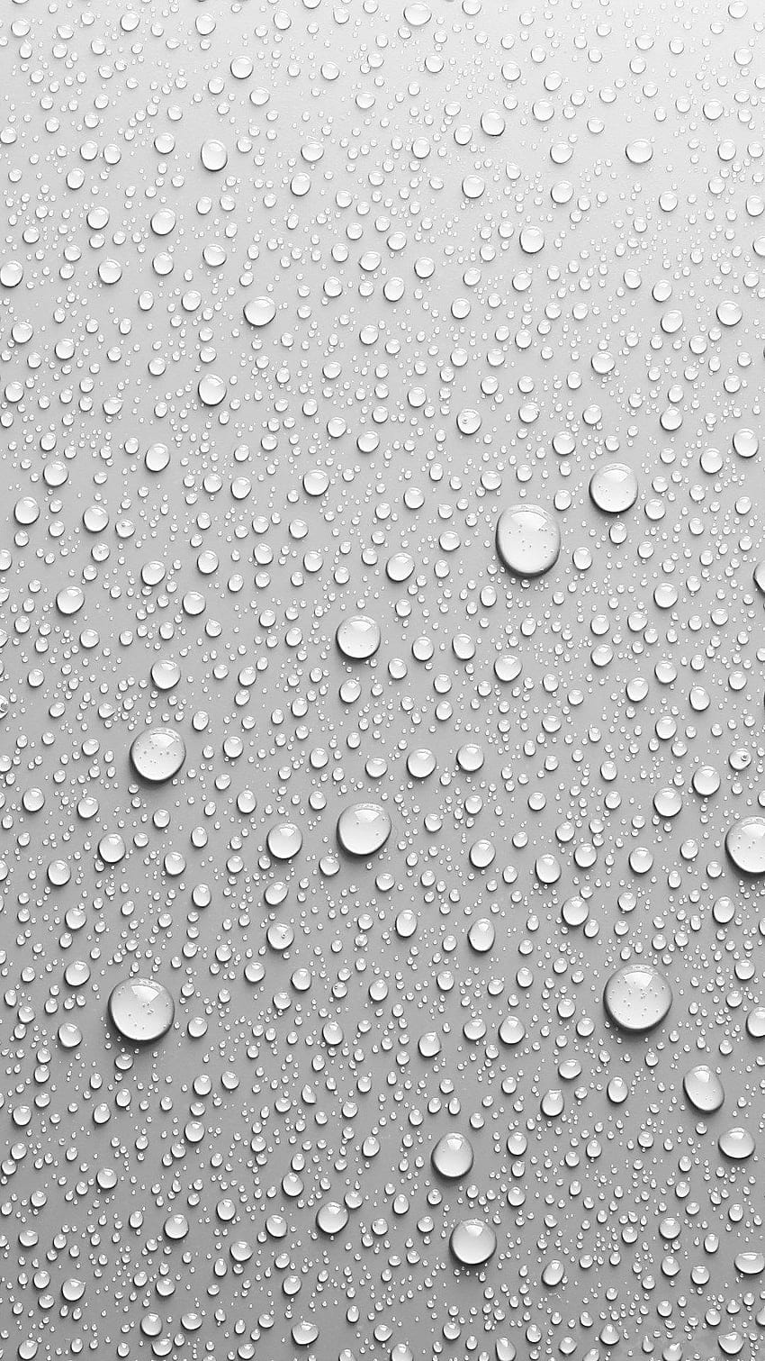 Tetesan air. Tetesan air cantik/embun pagi iPhone, tetesan air iphone wallpaper ponsel HD