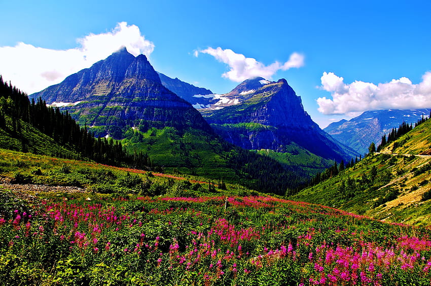 ภูมิทัศน์ ภูเขา ฤดูใบไม้ผลิ โลก ธรรมชาติ ดอกไม้ / และพื้นหลังมือถือ ฤดูใบไม้ผลิของภูเขา วอลล์เปเปอร์ HD