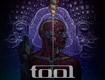tool lateralus album cover