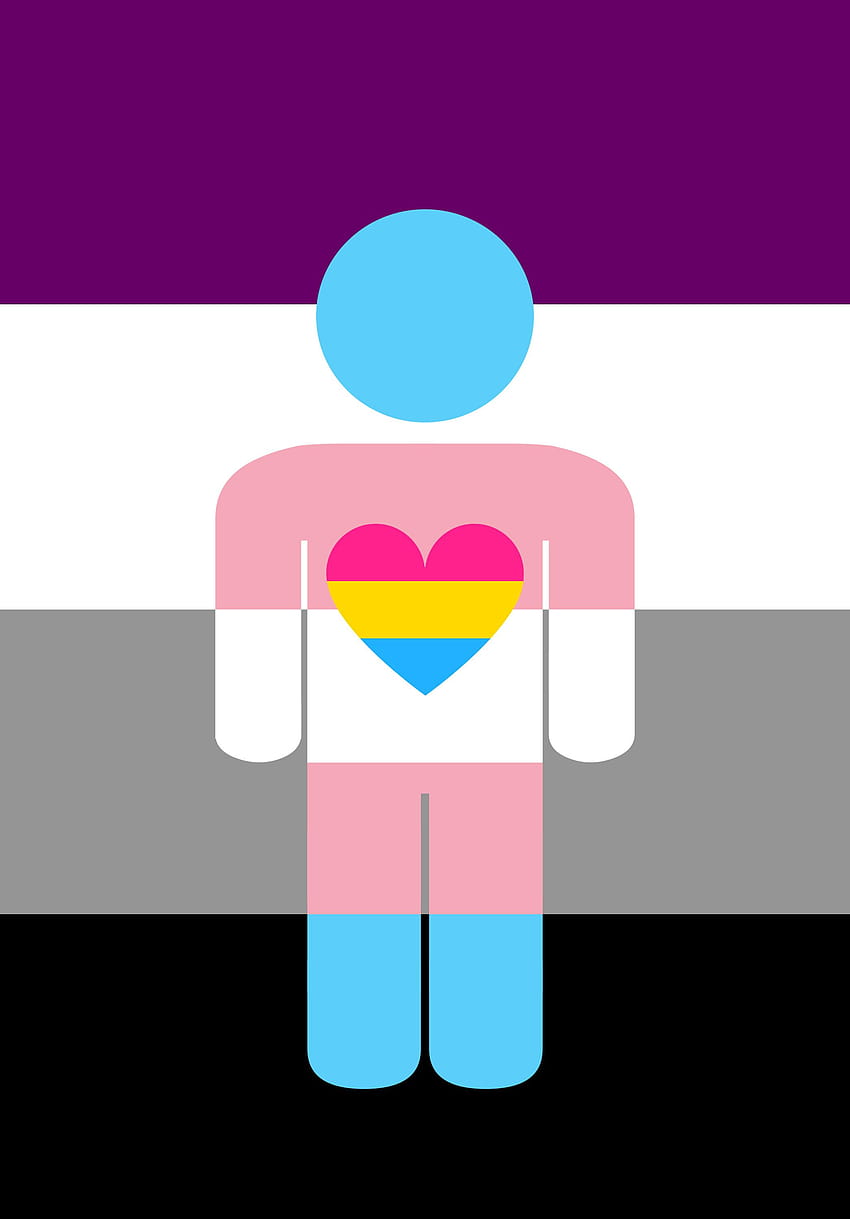5 Transgender Pride HD phone wallpaper