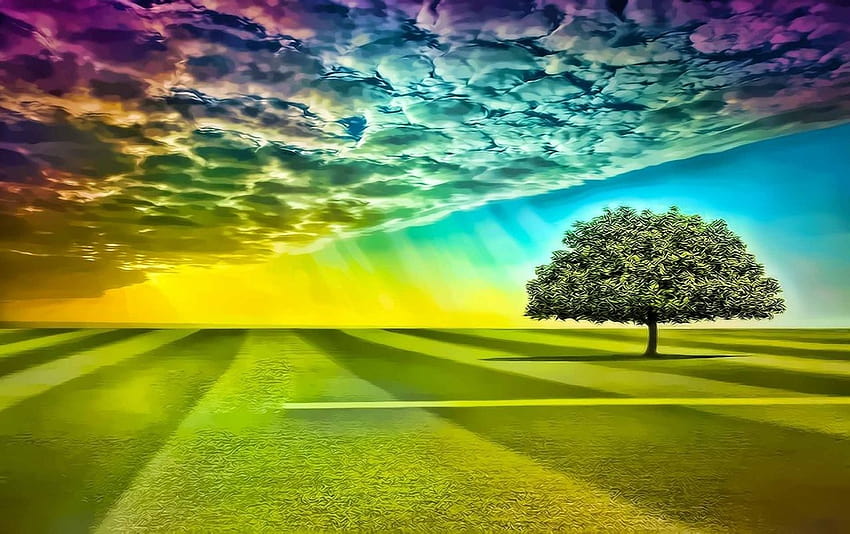 Photo Of Trees And Rainbow  Free Stock Photo