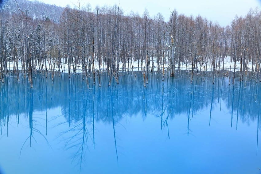 Blue pond Biei, Hokkaido, A Mac ｜ZEKKEI Japan, winter pond HD wallpaper
