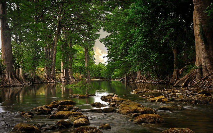 Daily : Secluded River HD wallpaper