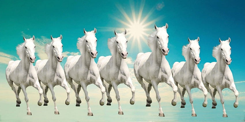 Seven White Horses, 7 white horse HD wallpaper