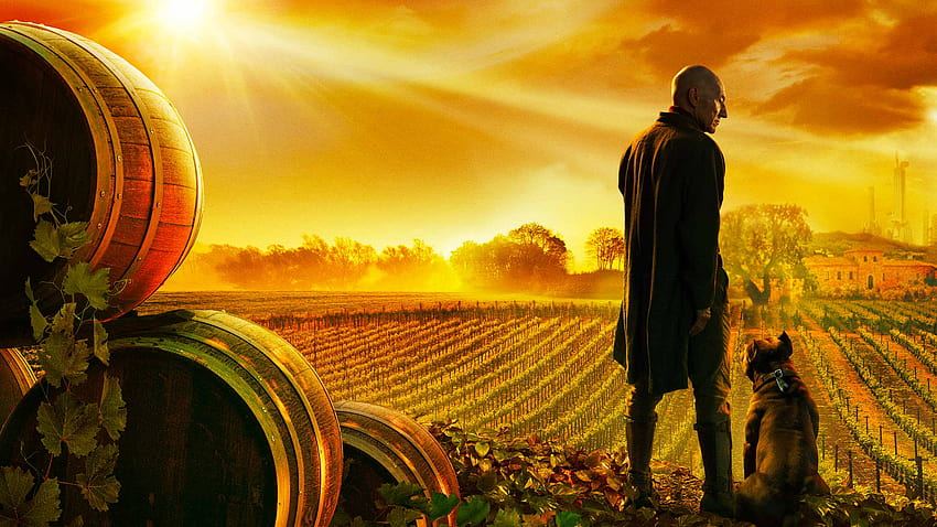 What To Expect From The Highly Anticipated Star Trek: Picard, star trek picard HD wallpaper