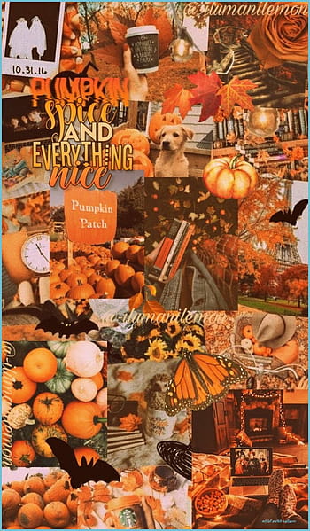 HD wallpaper Halloween autumn candle window pumpkin Holidays night   Wallpaper Flare
