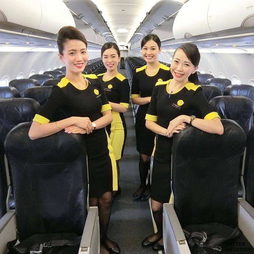 Tiger Airways Cabin Crew Recruitment Process, air hostess HD phone wallpaper  | Pxfuel