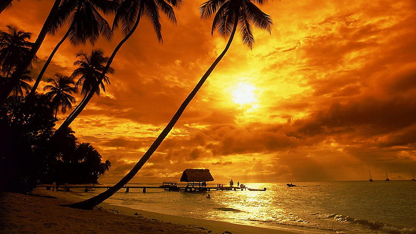 Tropical sunsets HD wallpaper | Pxfuel