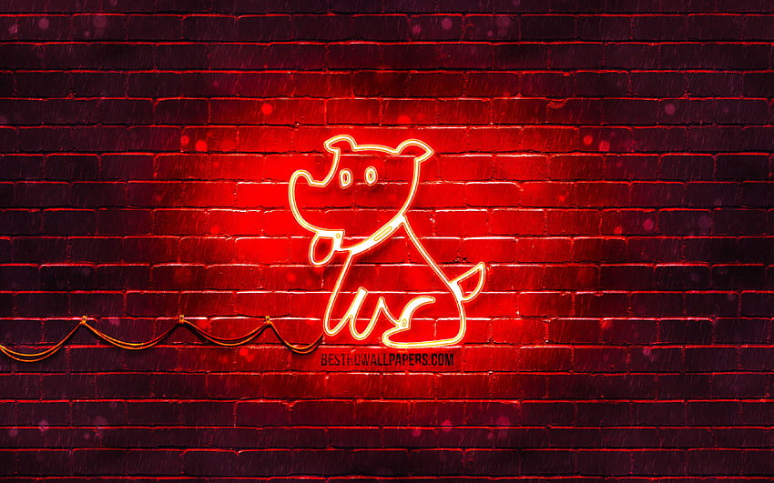 Signo de neón del perro, zodiaco chino, pared de ladrillo rojo, zodiaco del perro, signos de animales, calendario chino, creativo, signo del zodiaco del perro, signos del zodiaco chino, perro con una resolución de 3840x2400. Alta calidad fondo de pantalla