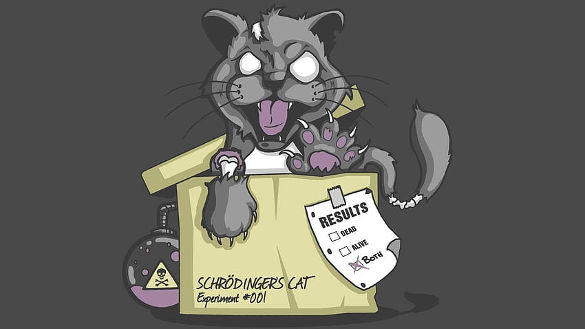 Schrödingers Katze aus HD-Hintergrundbild | Pxfuel