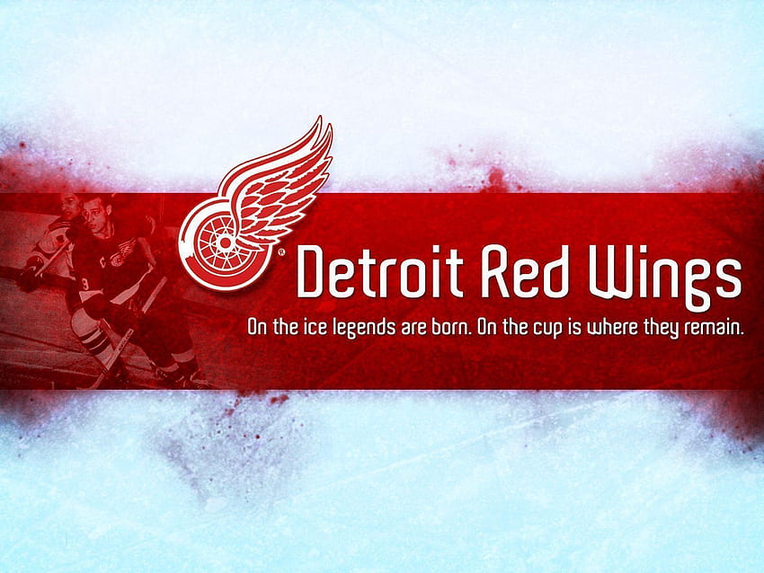Detroit Red Wings backgrounds HD wallpaper
