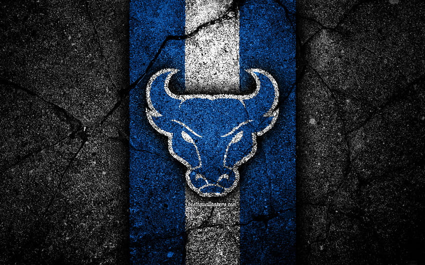 Buffalo Bulls Jackets, american football team, NCAA, blue white stone, USA, asphalt texture, american football, Buffalo Bulls logo with resolution 3840x2400. High Quality HD wallpaper