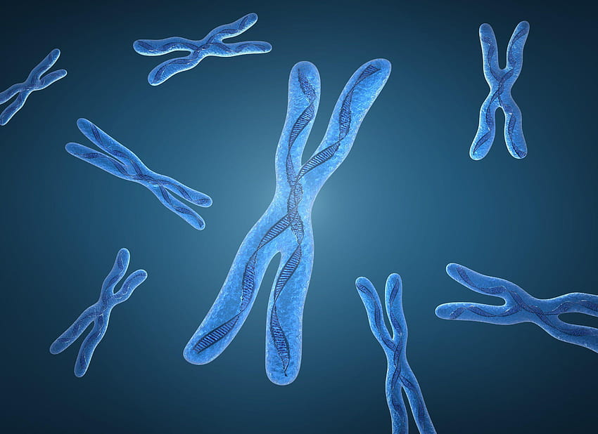 Хромозомна ДНК модел генетичен 3 HD тапет