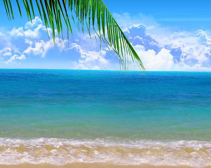 Palm on paradise beach 2560 x 1024 Dual Monitor [2560x1024] for your ...