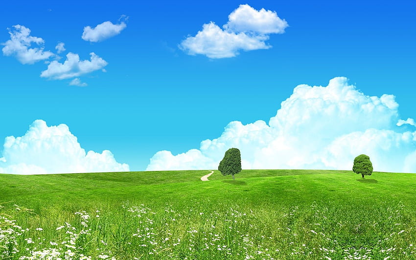 Spring Landscape Grass Hayfield Pasture ..., anime field HD wallpaper