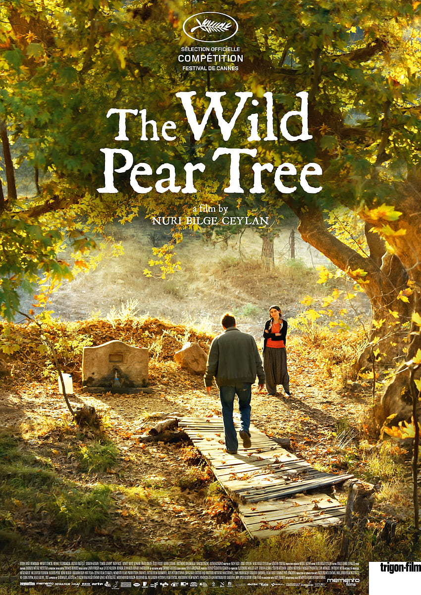 The Wild Pear Tree – trigon HD phone wallpaper