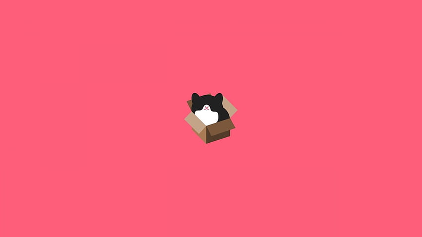 Minimalist Cat, cat aesthetic pc HD wallpaper | Pxfuel