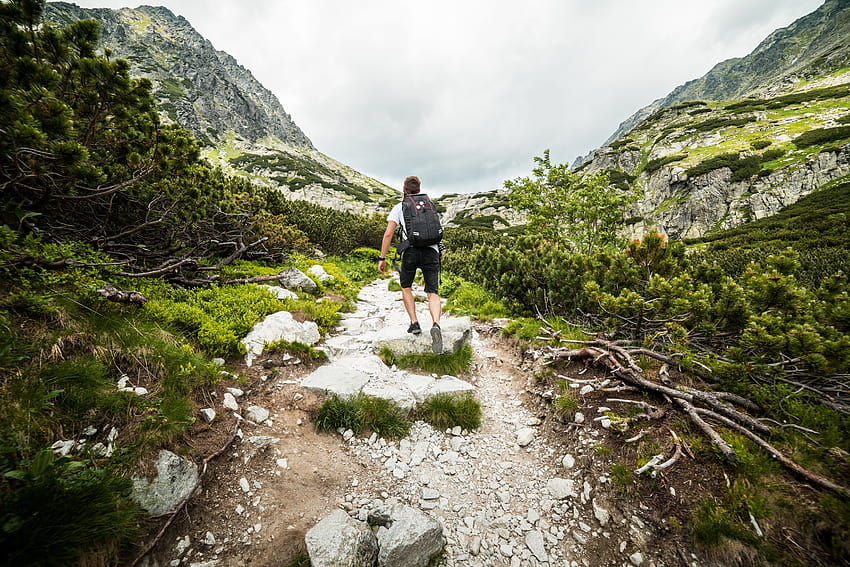 Hombre senderismo solo en las montañas Stock, excursionista fondo de pantalla