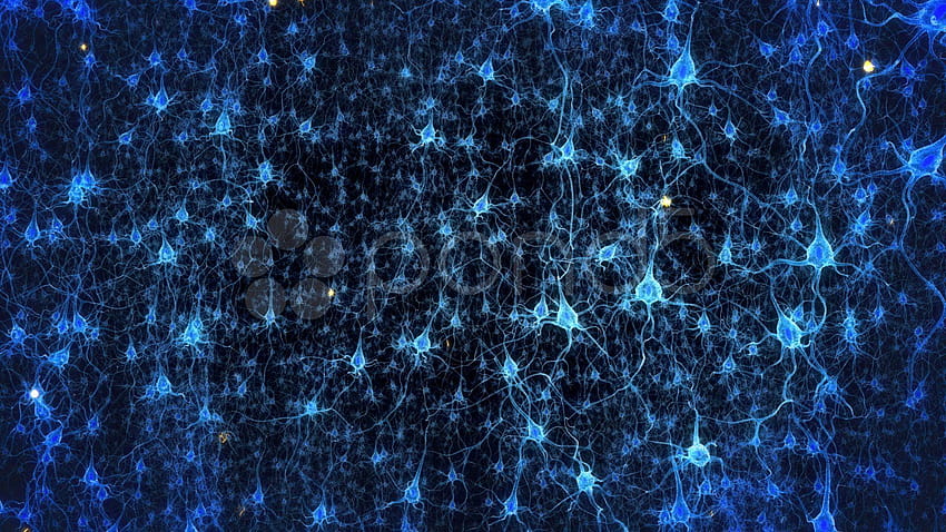 неврон HD тапет