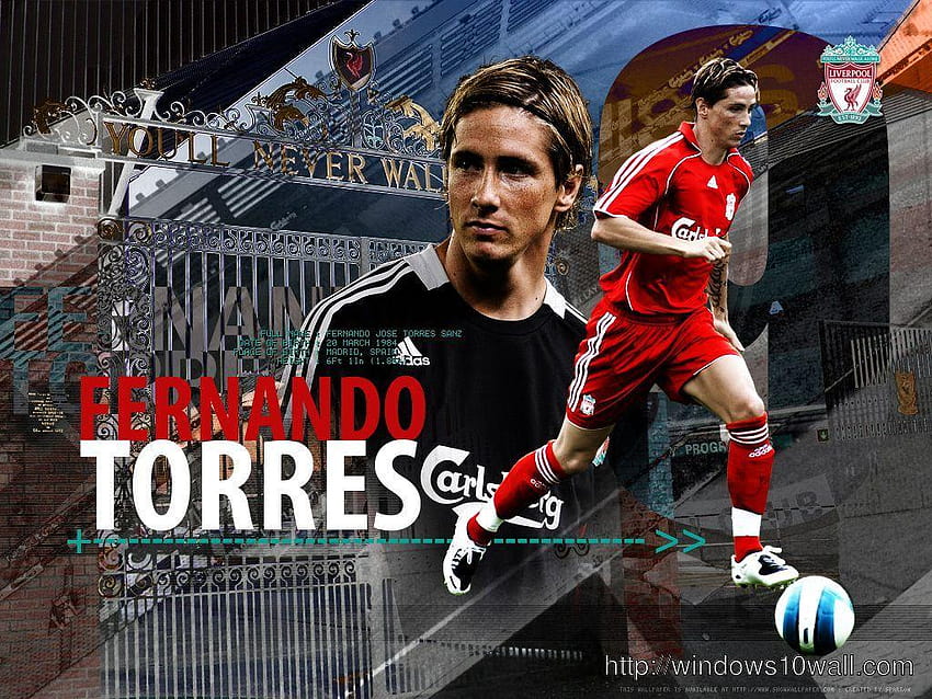 Fernando Torres THIS 1024×768 Torres, torres liverpool HD wallpaper