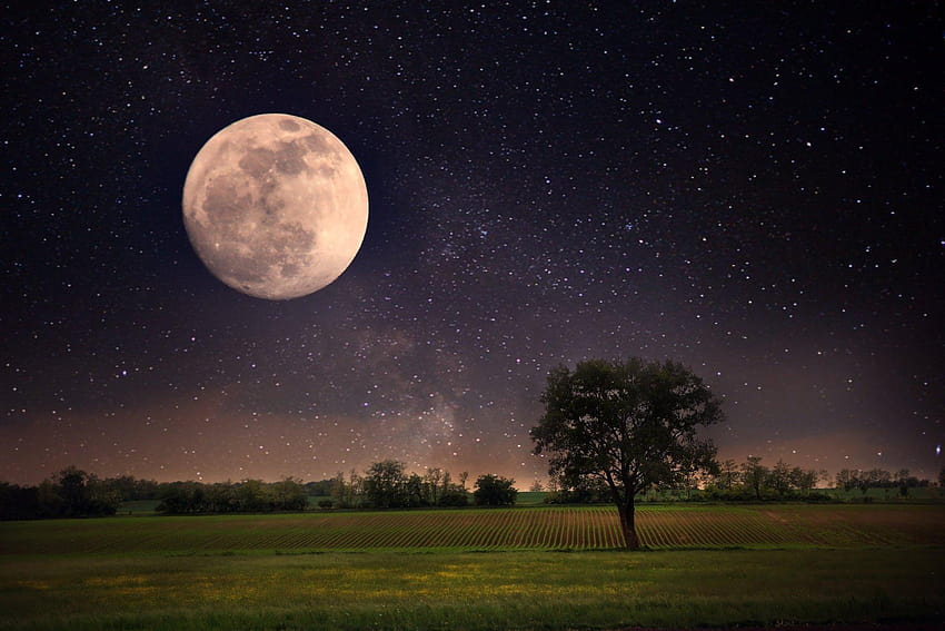 księżyc noc pejzaż gwiazdy pełnia księżyca niebu śliczne scena przyrodzie garbaty księżyc Tapeta HD
