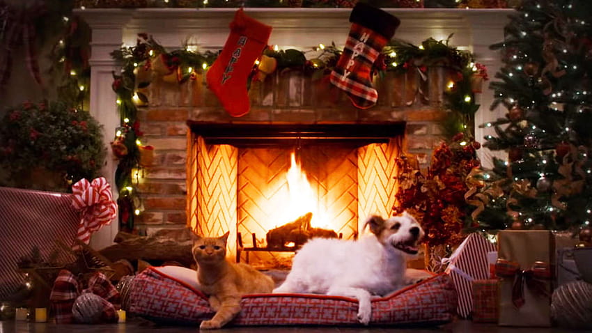 The 10 Best Netflix And Other Streaming Fireplaces For The Holidays, christmas fireplace scenes HD wallpaper