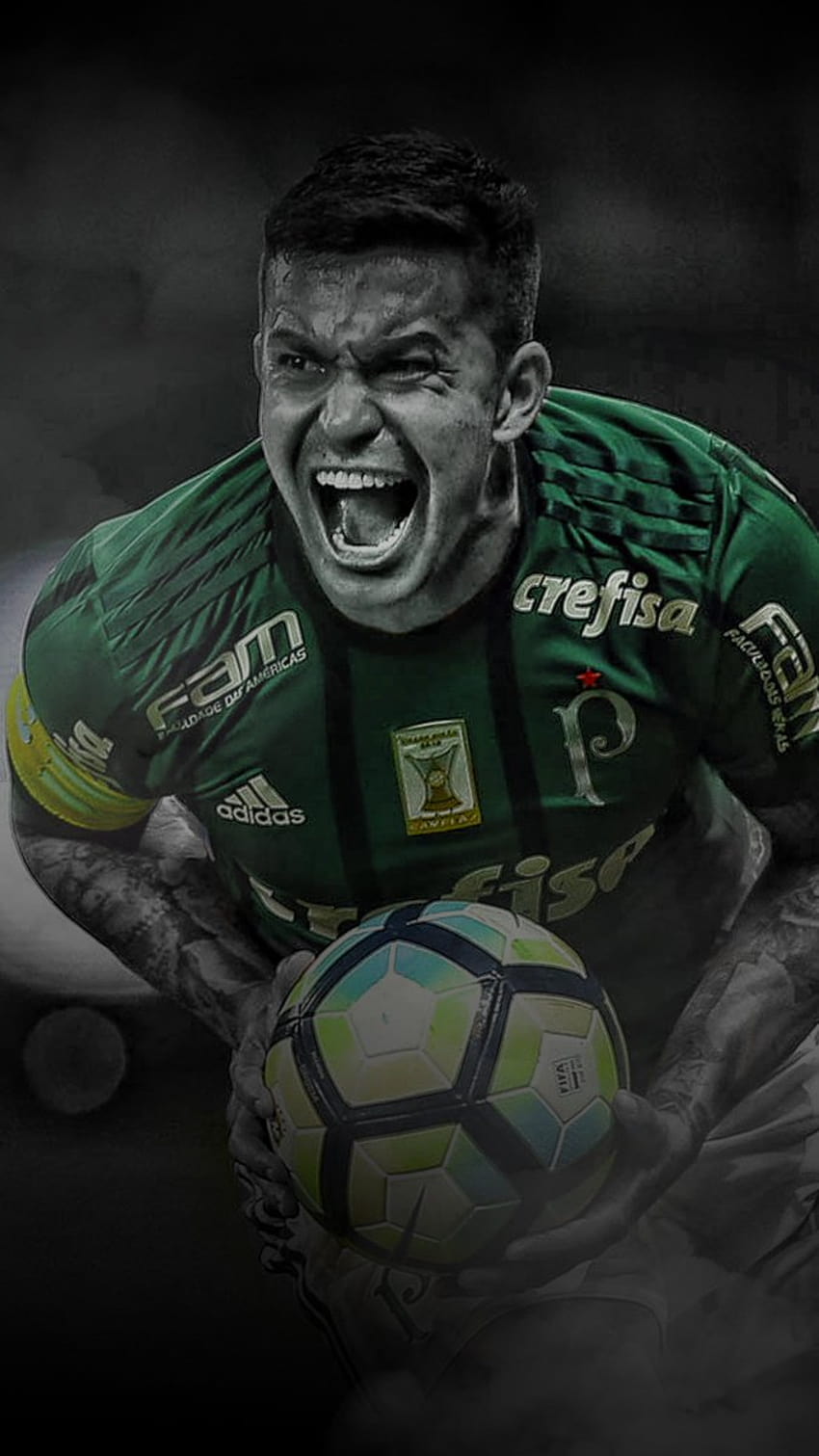 Palmeiras auf Twitter:, dudu palmeiras wallpaper ponsel HD