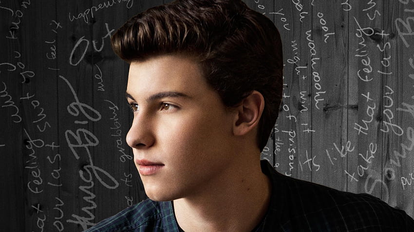 shawn mendes computer HD wallpaper