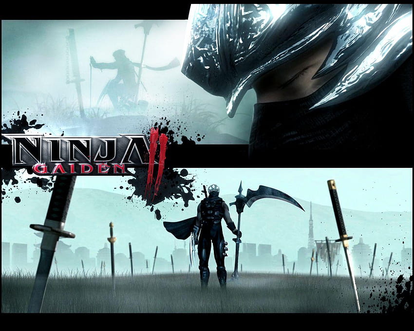 Ninja Gaiden 2 HD Wallpaper Pxfuel