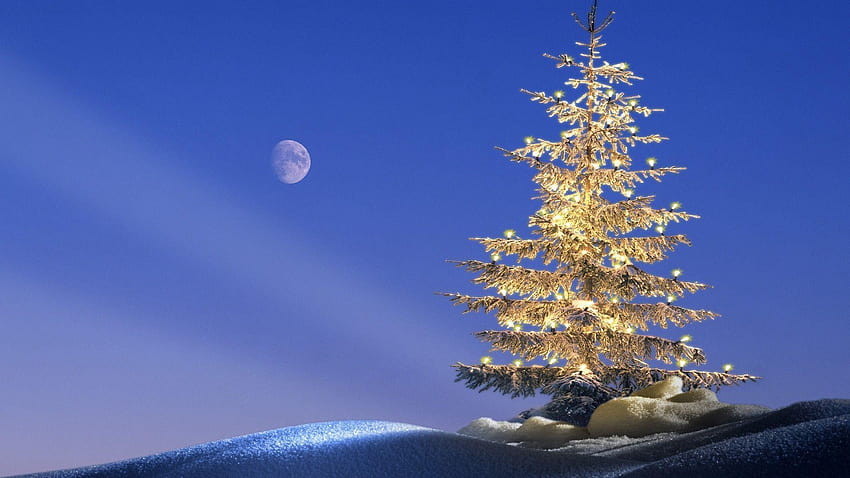 Happy Christmas Golden Tree Lights Snow Moon, moon full light HD wallpaper