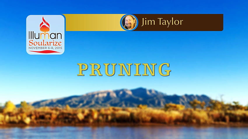 Illuman Soularize 2015: Pruning by Pastor Jim Taylor HD wallpaper