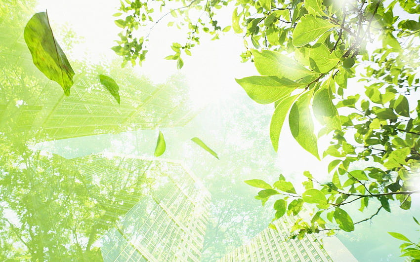 Eco, environment HD wallpaper