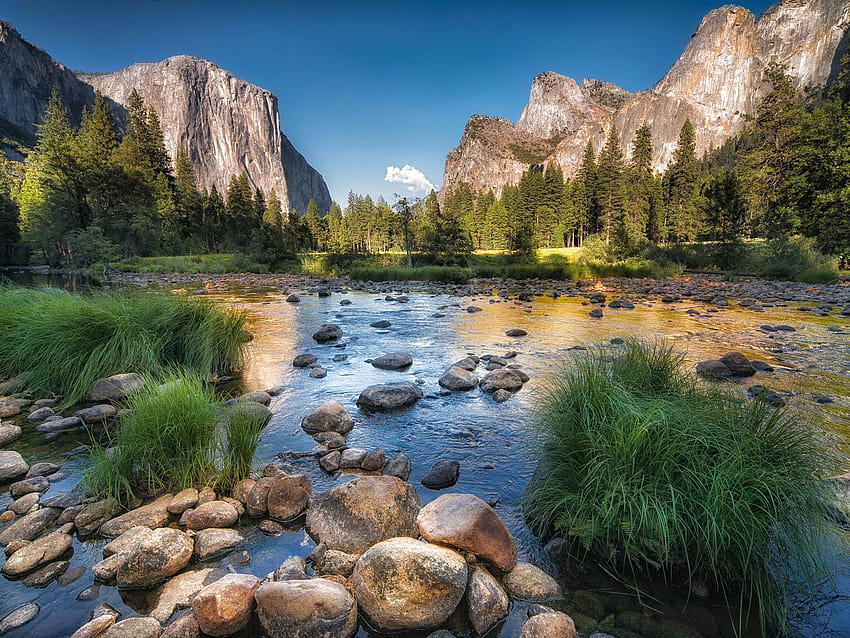 See national parks in all their glory on these Instagram accounts, yosemite valley morning fog HD wallpaper