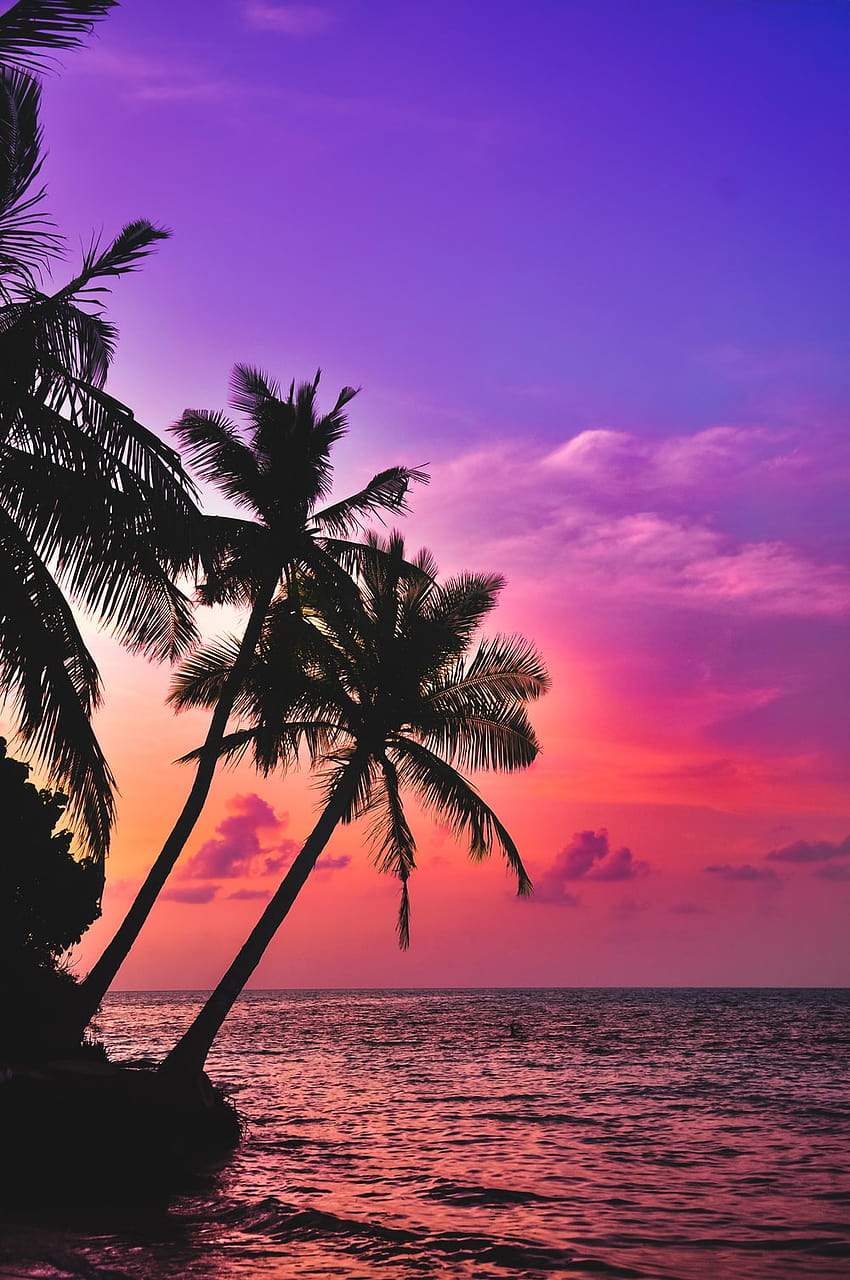 2 Atemberaubender Sonnenuntergang am Strand, schöne Sonnenuntergänge am Strand HD-Handy-Hintergrundbild