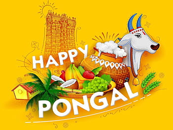 Tamil pongal HD wallpapers | Pxfuel