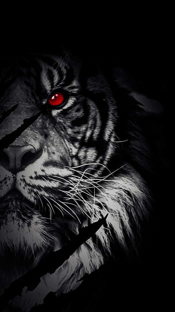 Black lion | Big cats art, Mythical creatures art, Lion art