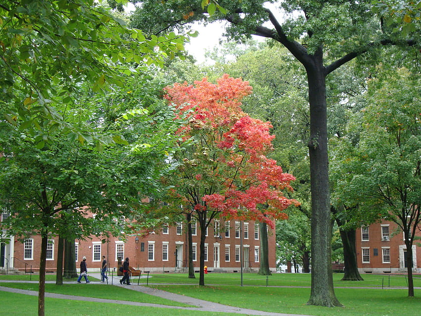 Harvard-Universität HD-Hintergrundbild