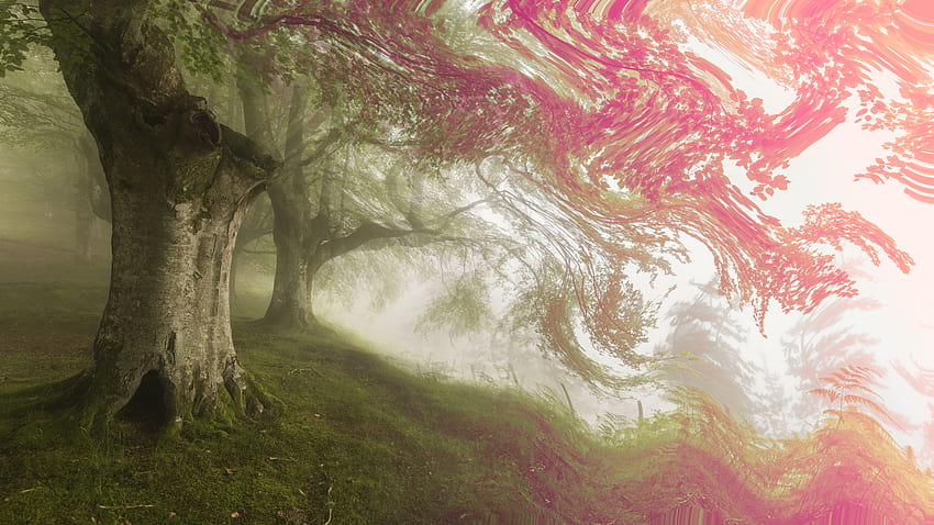 1920x1080, Forest, Nature, Psychedelic, Trees, trippy nature HD wallpaper