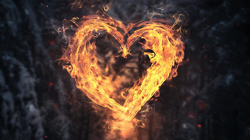 Burning Heart, Love, Backgrounds HD wallpaper